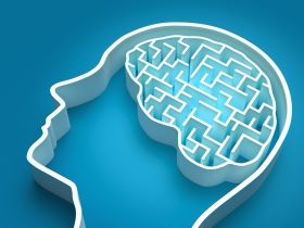 Brain maze