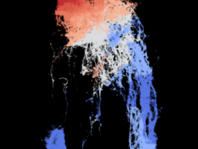 Zebrafish DNA