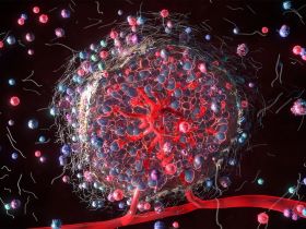 Tumor cells